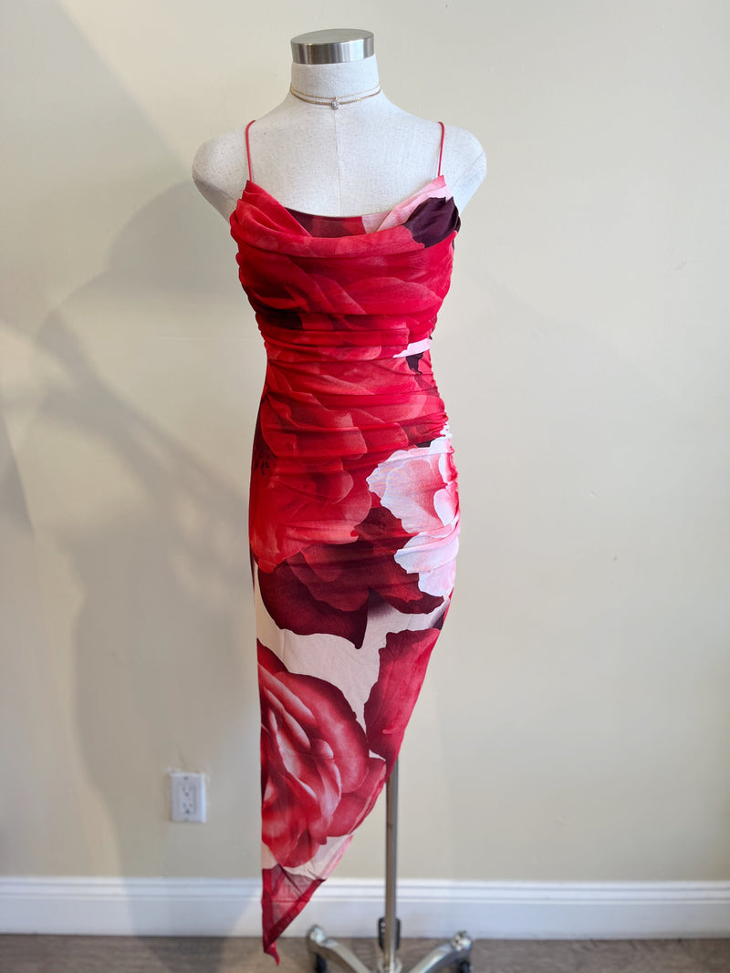 ATARA Midi Dress-RED ROSES