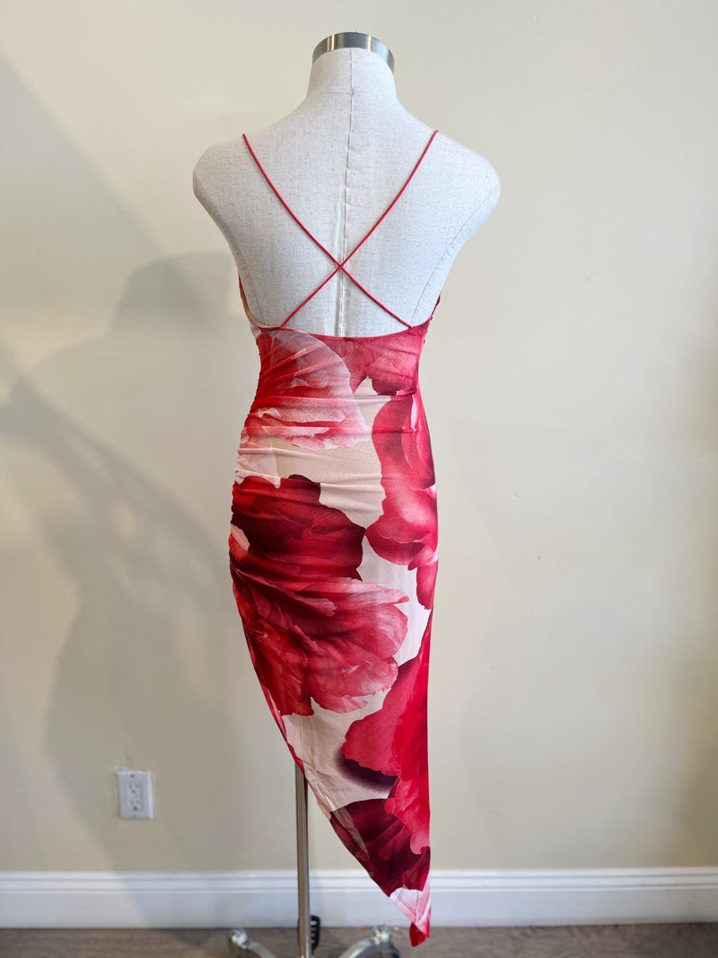 ATARA Midi Dress-RED ROSES